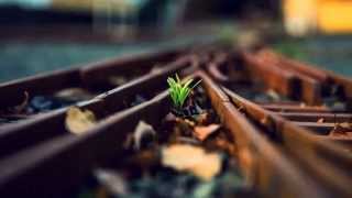 Every Car You Chase - Snow Patrol and The Police Lyrics