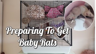 Preparing for my baby rats// Setting up my new rat cage! //Amazon Rat Supplies
