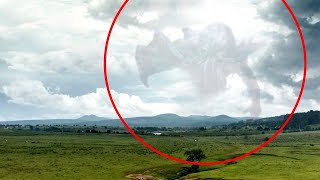 10 Giant Mysterious Creatures Caught on Camera