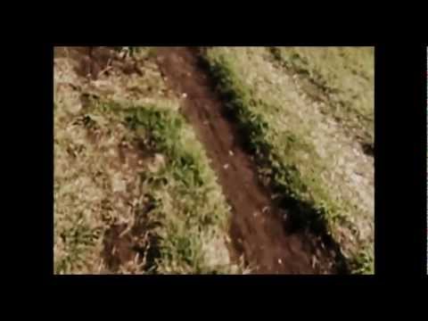 Kidd Niek - EarthBound (Prod. Dj Sonic Freak)