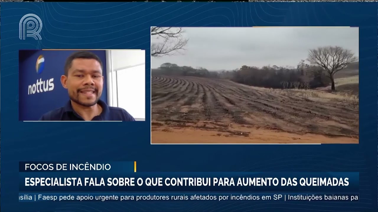 Focos de incêndio: especialista fala sobre o que contribui para aumento das queimadas