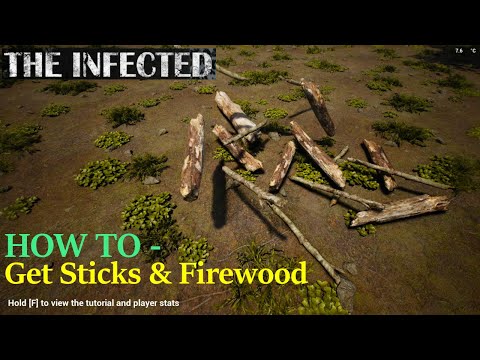 The Infected | HOW TO - Get sticks and firewood