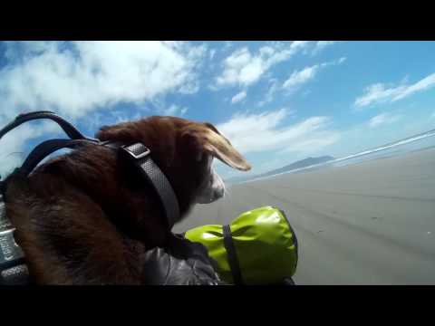 A Nose For Adventure! PNW Tour 2017 highlight reel 1