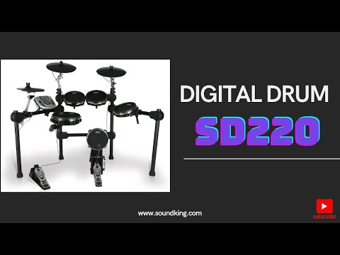 Видеообзор Soundking SD220