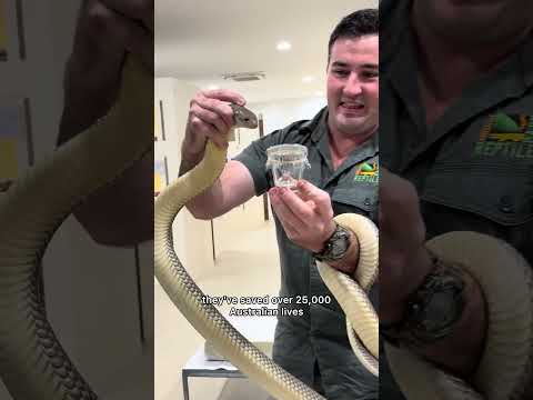 Thank you so much for the tour! @AustralianReptilePark ￼
