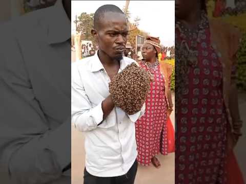 He Stole A Motorcycle And The Owner Met A Witch Doctor Who Sent Bees To Arrest Him
