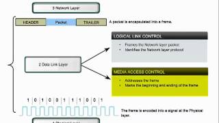 CCNA 1 DATA LINK LAYER Fundamentals CHAPTER SEVEN