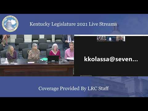 Severe Mental Illness Task Force (10-19-21)