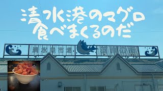 清水港　マグロ館　魚市場食堂　マグロ食べまくる