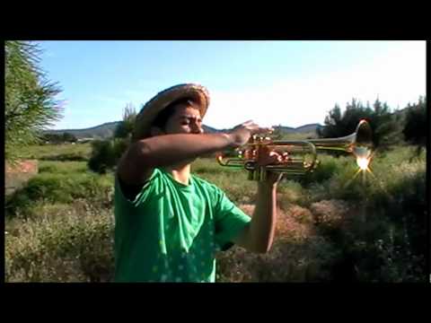 Amagada primavera IM i BP