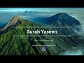 Surah Yaseen Qari Tariq Mohammad
