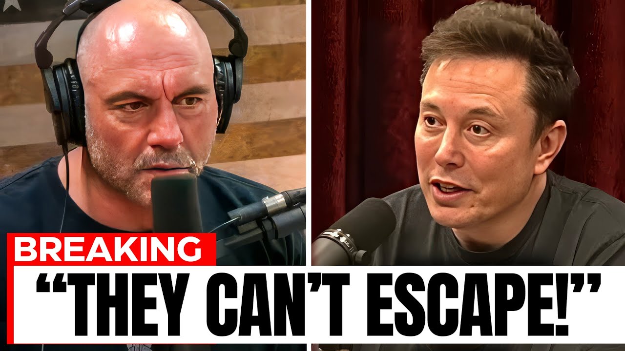 Joe Rogan & Elon Musk EXPOSE Celebrities Who Fled the Country!