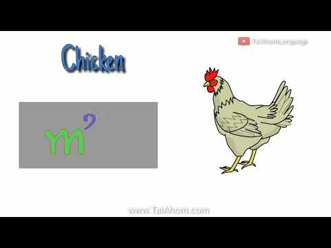 Learn five words in 50 seconds ( Tai Ahom Language ) #Shorts