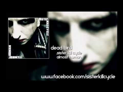Sister Kill Cycle - Dead Bird(single)