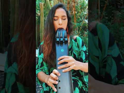 Native American Flute Prayer | Prayer for the Ancient Temples | Daniela Riojas Earth Meditation