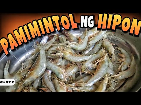 EP972-P2 - Pamimintol ng Hipon