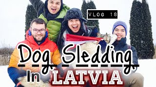 preview picture of video 'Dog Sledding in Latvia |  Best Adventure Activity in Latvia!'