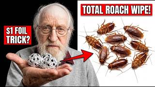 KILL Cockroaches With a $1 Foil Ball – Fast & For Good