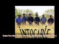 Intocable - Cada Vez Que Estas Conmigo [En Peligro De Extinción / 2013]