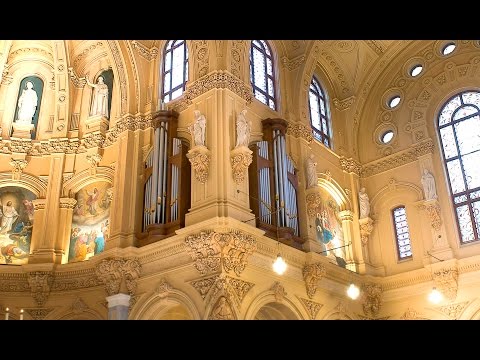 Welcome to Peragallo Organ Company