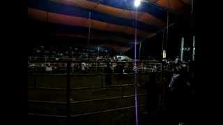 preview picture of video 'Feria Tapilula 2011-Rodeo-Inicio2'