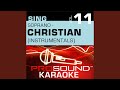 Joy Karaoke With Background Vocals In The Style Of Whitney Houston