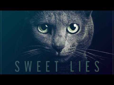 Max Freegrant & Slow Fish - Sweet Lies [OUT NOW]
