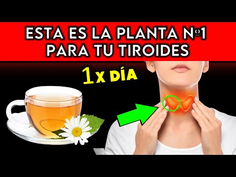 #1 PLANT that IMPROVES your THYROID (HOW TO TAKE IT)