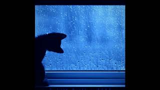 dangerous blues - the young veins + rain sounds