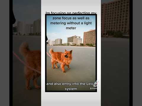 Leica M4-P photos 😍