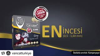 Vancat Kedi Kumu Kampanyası