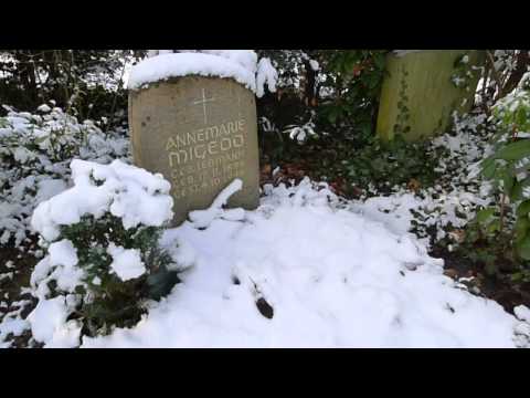 STUKA Pilot Heinz Migeod Grab Grave Berlin