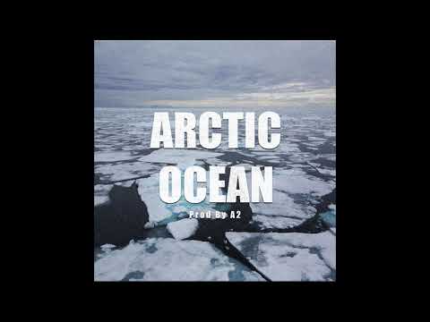 Don Q Type Beat | Gucci Mane x 2 Chainz Type Beat "Arctic Ocean" [New 2018 Trap Instrumental]