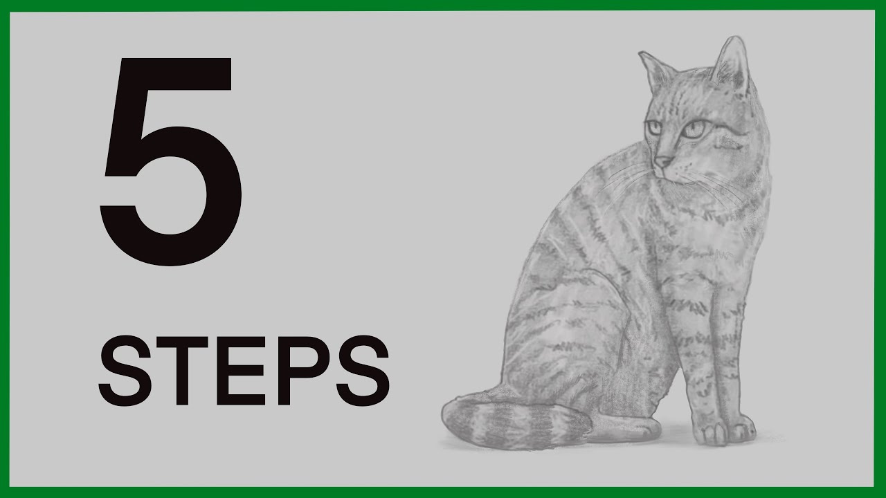 Five Simple Steps for Drawing Anything