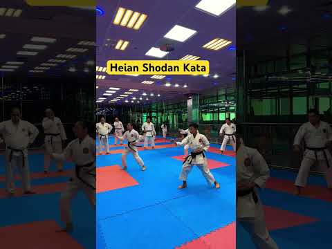 Heian Shodan Kata #shotokan #karate #martialarts