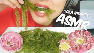 ASMR RAW SEA GRAPES (EXTREME CRUNCH EATING SOUNDS) NO TALKING | SAS-ASMR