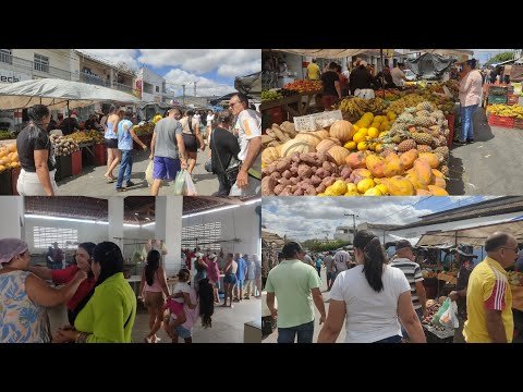 Feira livre na cidade de Gado Bravo PB 16/11/2025