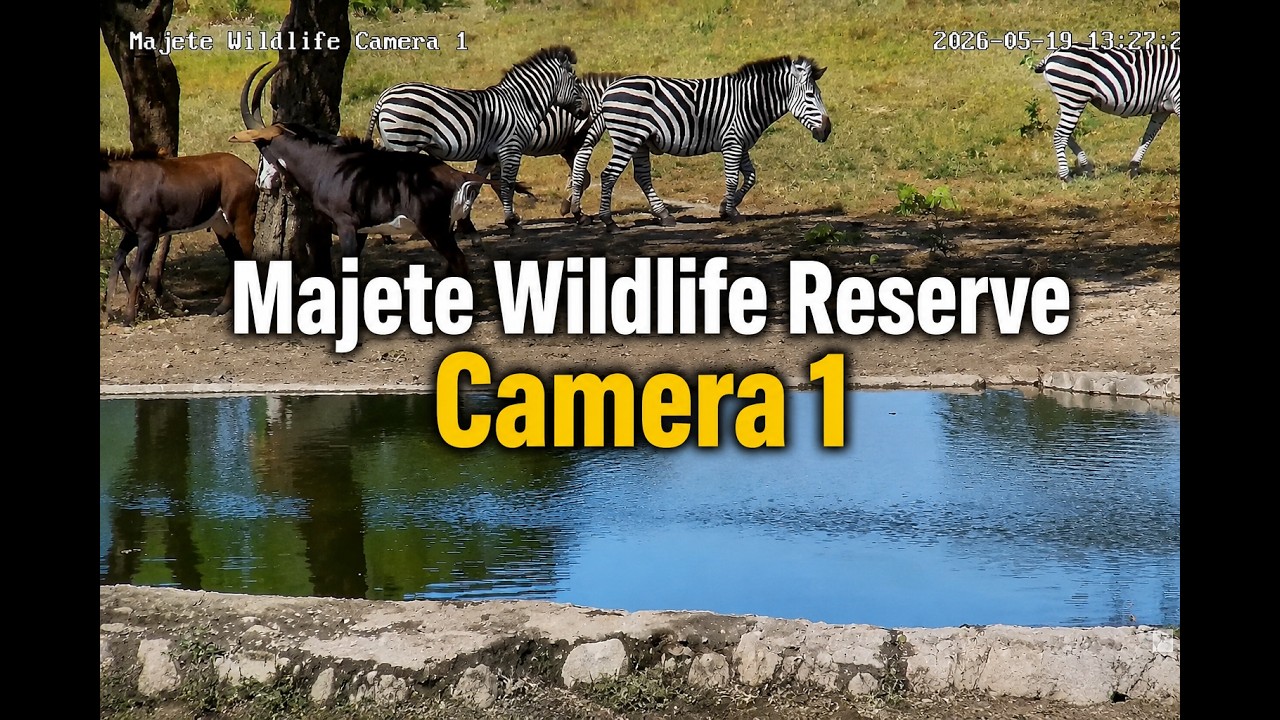 Live webcam view of Majete Wildlife Reserve Cam 1