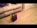 Bowling With Bigears The Hamster
