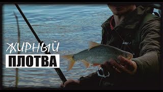 Ловля на боковой кивок осенью дон