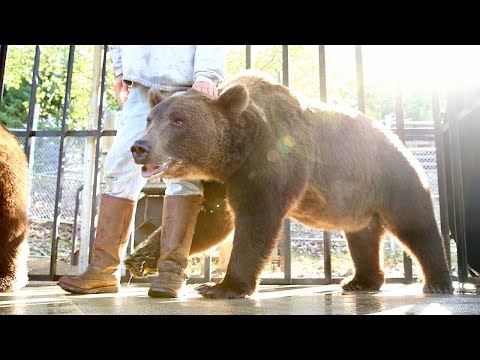 What is Project Grizzly?