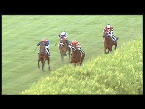 Galoppo 19/08/2020 - 3ª corsa