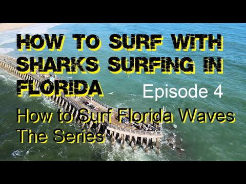 How to Surf Florida Waves, Episode 4, What About All Those Sharks?  Dealing with Sharks in the Wild