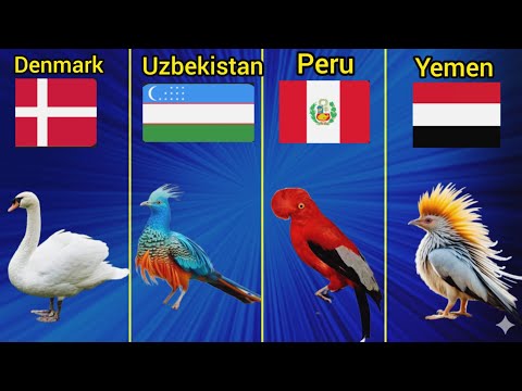 National birds of different countries | A beautiful world tour #birds 