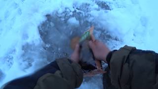 Зимняя рыбалка в калининградской области