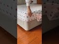 Easy Bedsheet Hacks Shorts Hacks Easyhacks