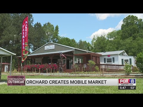 Local farmers create DIY farmer's market