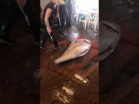 Professional Butchery: Bluefin Tuna