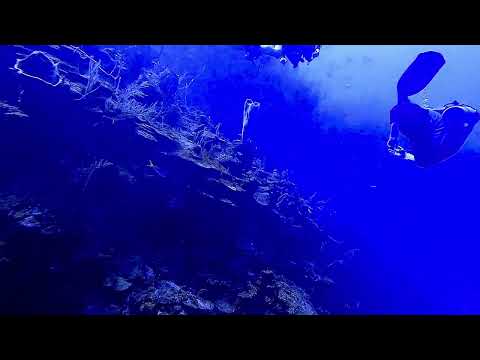 El Palacio Rosa Roatan