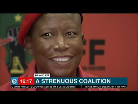 EFF to field mayoral candidate